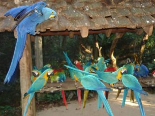 turismo foz do iguacu